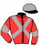 casaque portée par Paille J. jockey du cheval de course HOLTEN, information pmu ZETURF