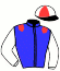 casaque portée par Gendrot A. jockey du cheval de course HURRICANE RUN (FR), information pmu ZETURF