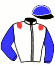 casaque portée par Martin Th. jockey du cheval de course DREBEN D'AM, information pmu ZETURF