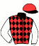 casaque portée par Delaunay Et. jockey du cheval de course IDEAL D'IVY, information pmu ZETURF