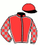 casaque portée par Raffin E. jockey du cheval de course ITAQUE DU VIVIER, information pmu ZETURF