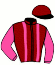 casaque portée par Coyer J. jockey du cheval de course MEASURE OF A DAY (FR), information pmu ZETURF