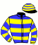 casaque portée par Cheyer Mme Per. jockey du cheval de course ADAMANTIUM (FR), information pmu ZETURF