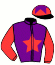 casaque portée par Nicco Mlle A. jockey du cheval de course CANOEING (IE), information pmu ZETURF