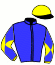 casaque portée par Desoutter Mlle N. jockey du cheval de course FRENCH BIRD (AQ), information pmu ZETURF