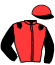 casaque portée par Velon Mlle M. jockey du cheval de course CHARNOCK RICHARD (GB), information pmu ZETURF