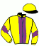 casaque portée par Ubeda D. jockey du cheval de course HARPE MAGIQUE, information pmu ZETURF