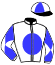 casaque portée par Blondel F. jockey du cheval de course RAJCOUN, information pmu ZETURF
