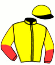 casaque portée par Maillot S. jockey du cheval de course ROSENDREAM (FR), information pmu ZETURF