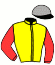 casaque portée par Peltier F. J. jockey du cheval de course DREAM DES OLIVIERS (FR), information pmu ZETURF
