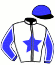 casaque portée par Peltier Mme M. jockey du cheval de course GROOM DE CHANLECY (FR), information pmu ZETURF