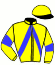 casaque portée par Broust L. jockey du cheval de course HALOHA D'ABO (FR), information pmu ZETURF