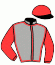 casaque portée par Millet G. jockey du cheval de course ODIN, information pmu ZETURF