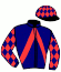casaque portée par Laffay M. jockey du cheval de course HALMA GRIFF, information pmu ZETURF