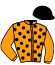casaque portée par Ruiz Gonzalez A. jockey du cheval de course FANNYDOLE, information pmu ZETURF casaque portée par Ruiz Gonzalez A. jockey du cheval de course FANNYDOLE, information pmu ZETURF