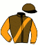 casaque portée par Corallo F. jockey du cheval de course ALAJDL, information pmu ZETURF casaque portée par Corallo F. jockey du cheval de course ALAJDL, information pmu ZETURF