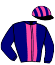 casaque portée par Gout Th. jockey du cheval de course JACOBS CREEK, information pmu ZETURF casaque portée par Gout Th. jockey du cheval de course JACOBS CREEK, information pmu ZETURF