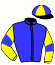 casaque portée par Bekaert D. jockey du cheval de course LAVINIA DES ILES, information pmu ZETURF casaque portée par Bekaert D. jockey du cheval de course LAVINIA DES ILES, information pmu ZETURF
