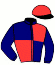casaque portée par Cuoq J. jockey du cheval de course KASSEL BERG, information pmu ZETURF