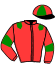 casaque portée par Zeghouani S. jockey du cheval de course ITALIO DE LA ROQUE, information pmu ZETURF