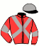 casaque portée par Broust F. jockey du cheval de course FIKO SAUTONNE, information pmu ZETURF casaque portée par Broust F. jockey du cheval de course FIKO SAUTONNE, information pmu ZETURF