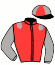 casaque portée par Ernault S. jockey du cheval de course FLASH AU CROSNIER, information pmu ZETURF