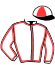 casaque portée par Pou Pou G. A. jockey du cheval de course IMAGE DU MARQUIS (FR), information pmu ZETURF