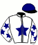 casaque portée par Meunier St. jockey du cheval de course HELSA DE LA ROCHE (FR), information pmu ZETURF