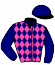 casaque portée par Desmigneux F. jockey du cheval de course HOTESSE DE NESLE (FR), information pmu ZETURF