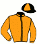casaque portée par Ouvrie F. jockey du cheval de course GRISBI DE CARVEL (FR), information pmu ZETURF