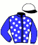 casaque portée par Lecanu F. jockey du cheval de course DIAMANT DU SAM (FR), information pmu ZETURF