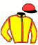 casaque portée par Koubiche J. jockey du cheval de course CELEBRE DE FOOT (FR), information pmu ZETURF