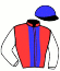 casaque portée par Herbeau E. jockey du cheval de course GAMINE DU BOURG (FR), information pmu ZETURF