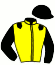 casaque portée par Guerineau F. jockey du cheval de course GOLD ELEVEN (FR), information pmu ZETURF