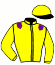 casaque portée par Ouvrie F. jockey du cheval de course GIGIJO DE JAVIE (FR), information pmu ZETURF