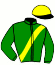 casaque portée par Lecanu F. jockey du cheval de course ENDENE BEAUREGARD (FR), information pmu ZETURF