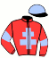 casaque portée par Petrement Ch. jockey du cheval de course FLICKA DU SKY (FR), information pmu ZETURF