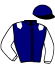 casaque portée par Desmigneux F. jockey du cheval de course DREAM ZAERI (FR), information pmu ZETURF