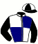 casaque portée par Verva M. jockey du cheval de course EASTON OF MY LIFE (FR), information pmu ZETURF