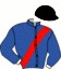 casaque portée par Martens C. jockey du cheval de course REBELLA MATTERS (SE), information pmu ZETURF