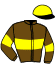 casaque portée par Benoist G. jockey du cheval de course ZAGREY (FR), information pmu ZETURF