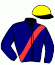 casaque portée par Vogt Mlle S. jockey du cheval de course MORNING CLAIRE, information pmu ZETURF