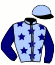 casaque portée par Denisot J. jockey du cheval de course FABIOLA DE SALSA (FR), information pmu ZETURF