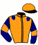 casaque portée par Mendiboure Mlle M. jockey du cheval de course HICARIOS GAME, information pmu ZETURF