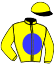 casaque portée par Van Den Putte Jr J. jockey du cheval de course IRMA DE TOUCHYVON (FR), information pmu ZETURF