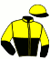 casaque portée par Raffestin J. jockey du cheval de course IPSON DE LINE, information pmu ZETURF