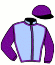 casaque portée par Lecanu F. jockey du cheval de course FOLLOW ME DU LOGIS, information pmu ZETURF