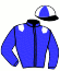 casaque portée par Laisney V. jockey du cheval de course GARNEMENT ROYAL, information pmu ZETURF