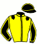 casaque portée par D'Haenens N. jockey du cheval de course ISILDUR, information pmu ZETURF
