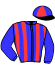 casaque portée par Mornet H. jockey du cheval de course HAUTAIN DE HOUELLE, information pmu ZETURF